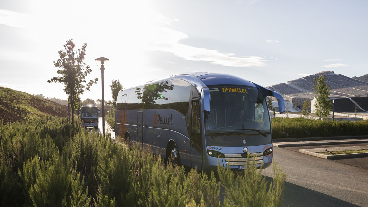 Como Comprar Telefonos Baratos