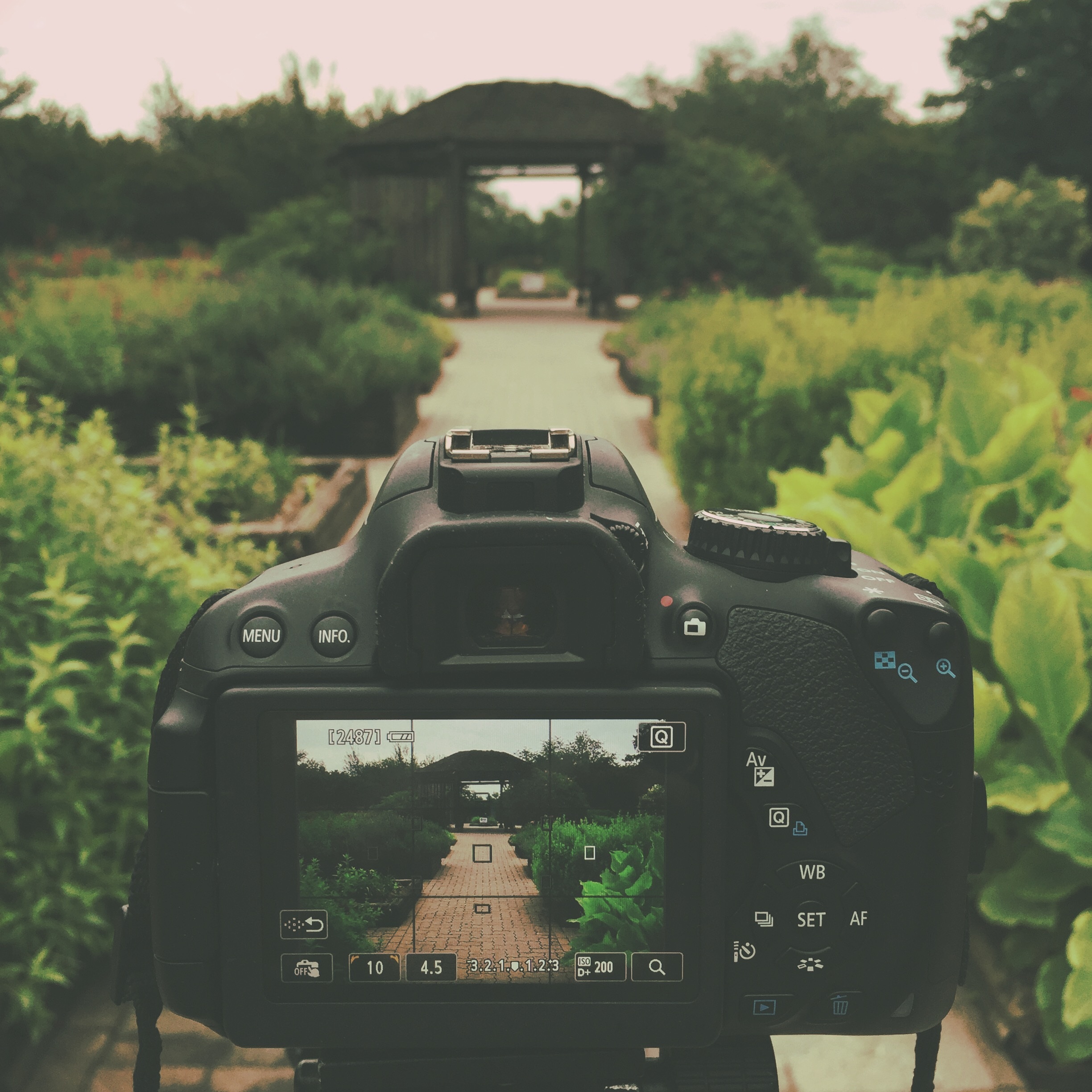 Imprimir Fotos En Cvs