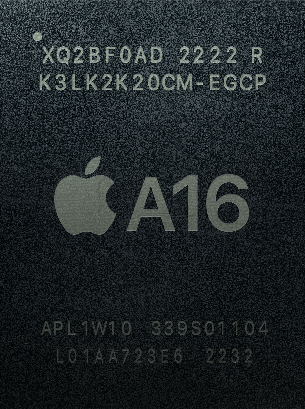Cual Es El Reloj Mas Nuevo De Apple