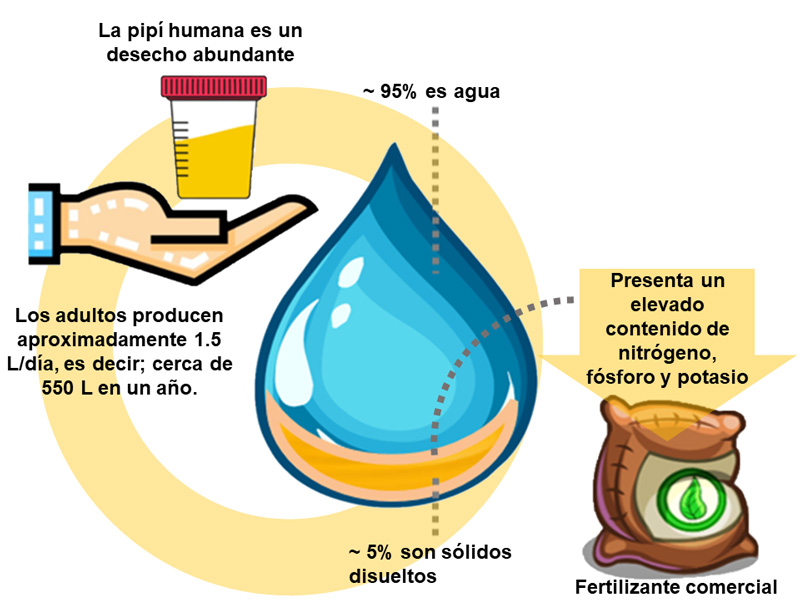 Que Apple Watch Mide La Presion Arterial
